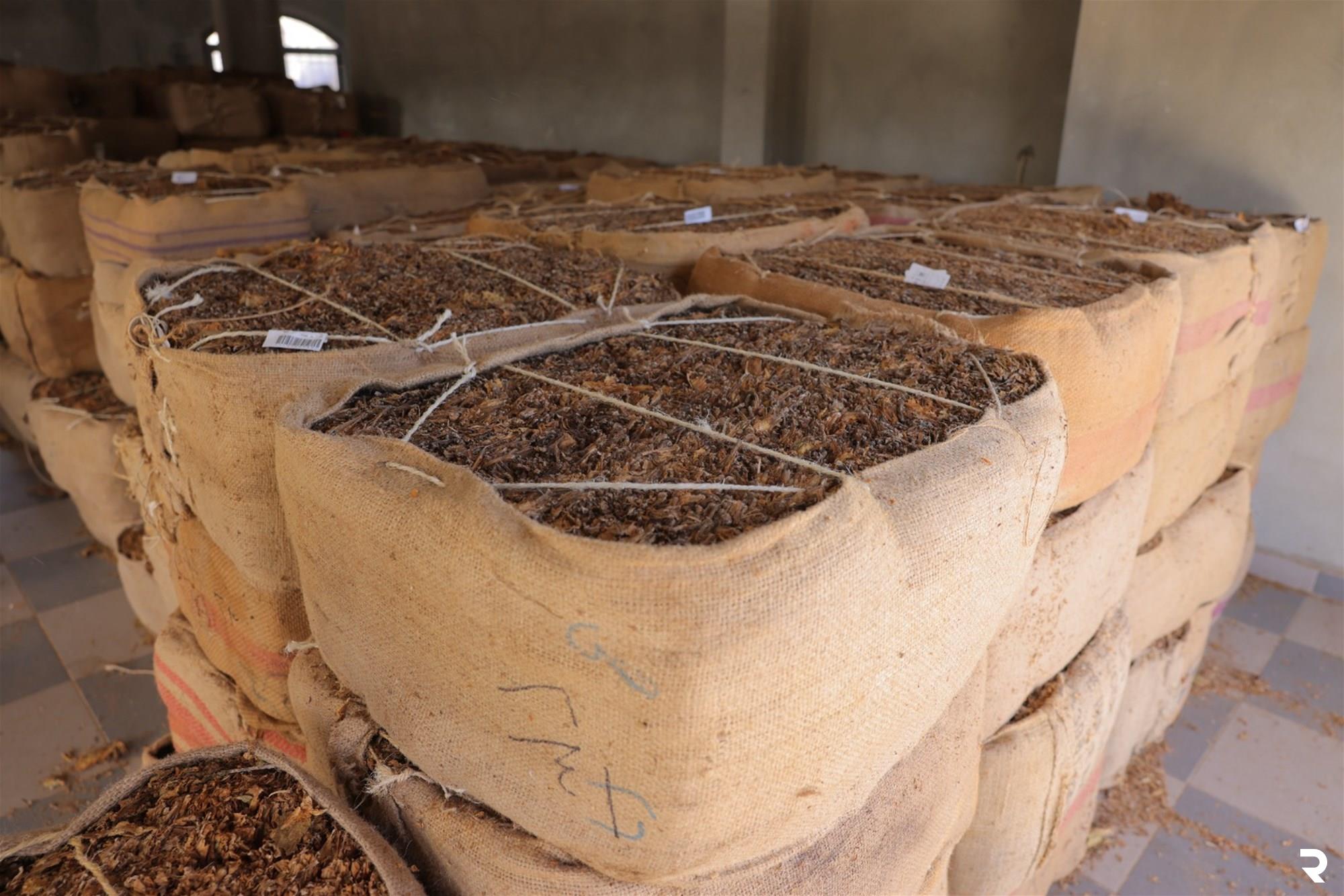 Regie announces completion of crop collection process in southern and northern Lebanon 