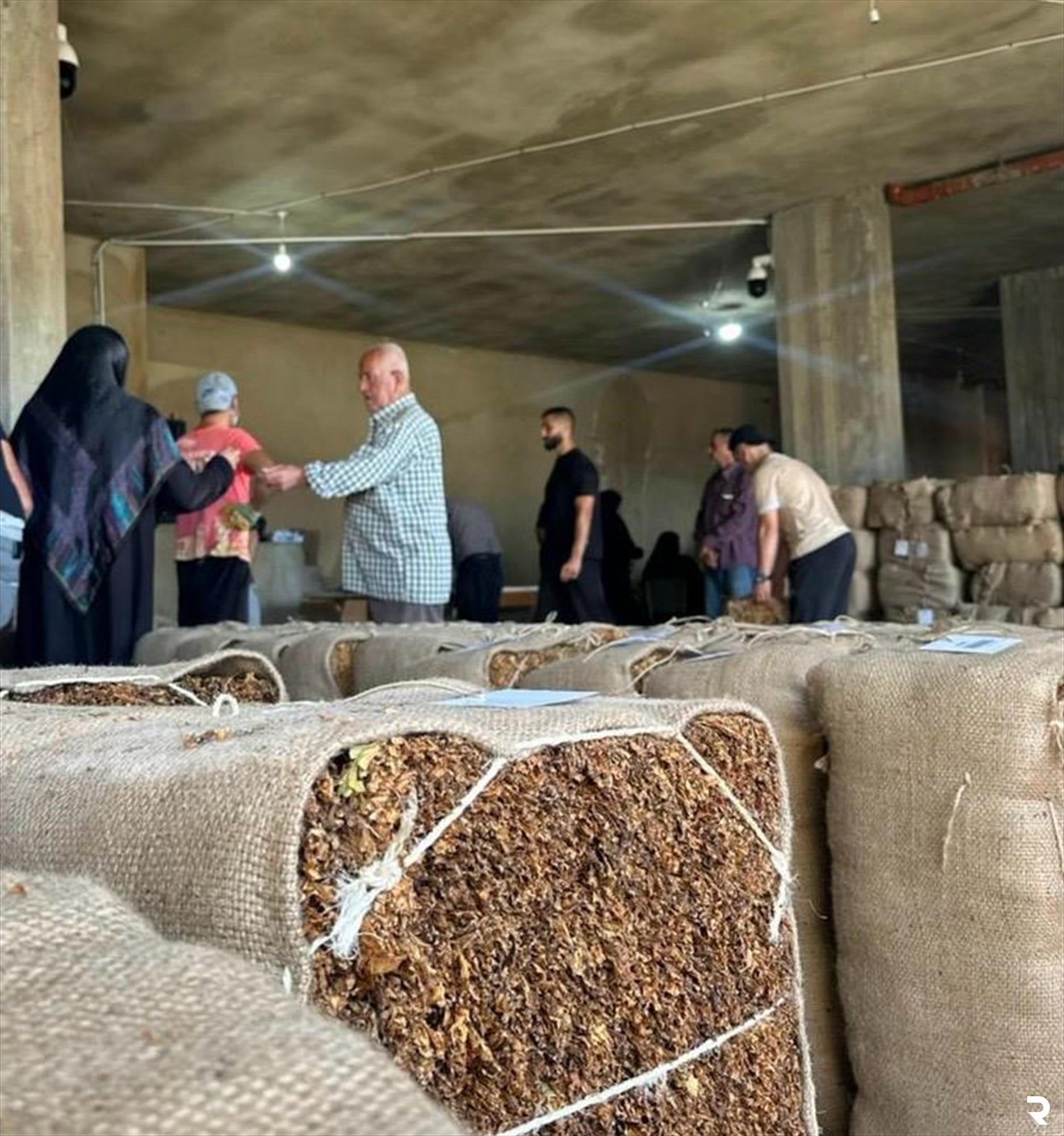 Regie to begin receiving tobacco crops in Bekaa on January 21