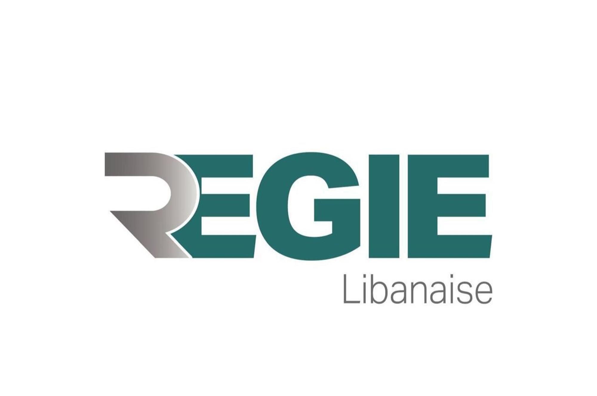 Regie holds agricultural extension tours for Rmeish tobacco farmers