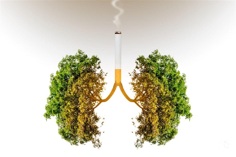 Smoking health effects