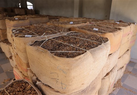 Regie announces completion of crop collection process in southern and northern Lebanon 