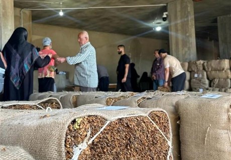 Regie to begin receiving tobacco crops in Bekaa on January 21