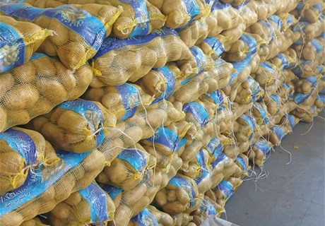Eng. Nassif Seklaoui Contributes Four Tons of Potatoes to the Fishermen’s Syndicate in Tyre